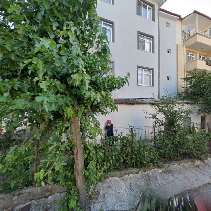 Fotoğraf 19