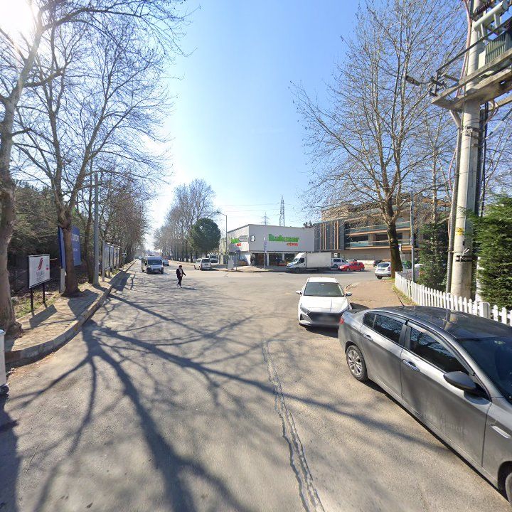 Fotoğraf 13