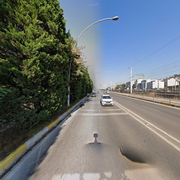 Fotoğraf 8