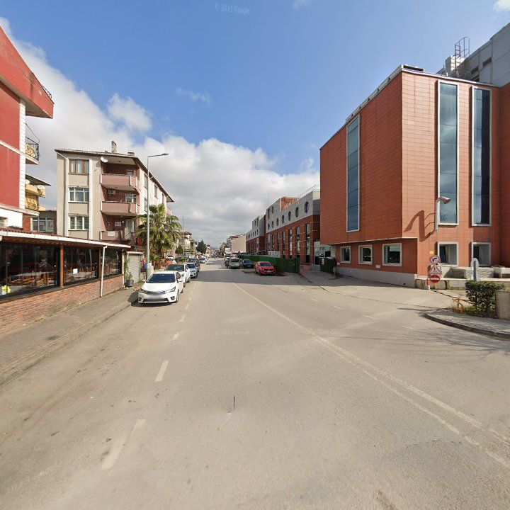 Fotoğraf 11