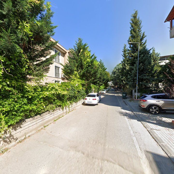 Fotoğraf 12