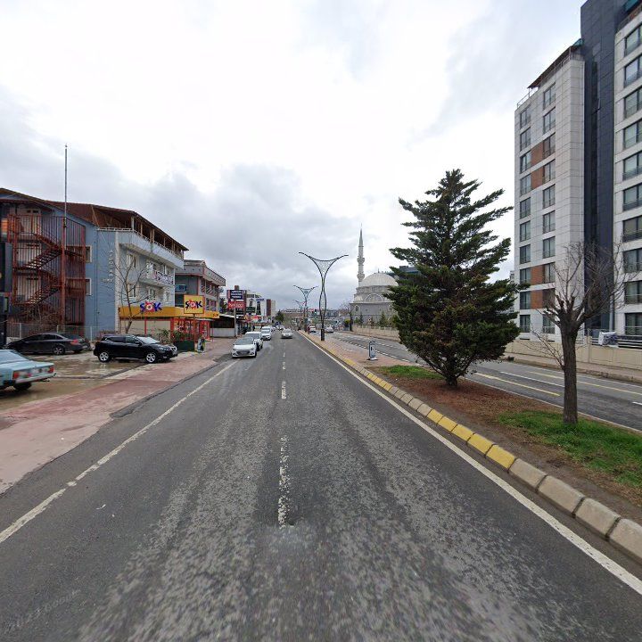 Fotoğraf 7