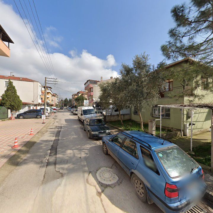 Fotoğraf 11