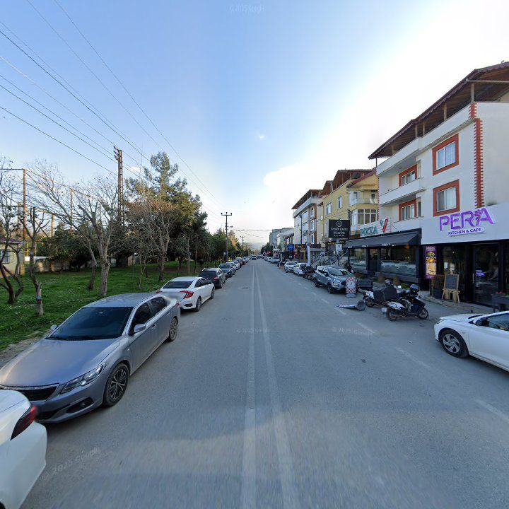 Fotoğraf 9
