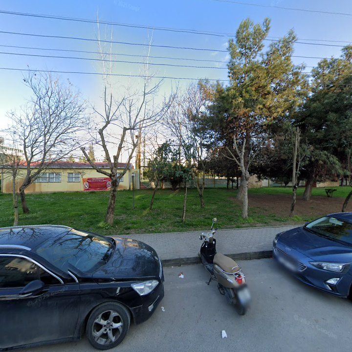 Fotoğraf 12