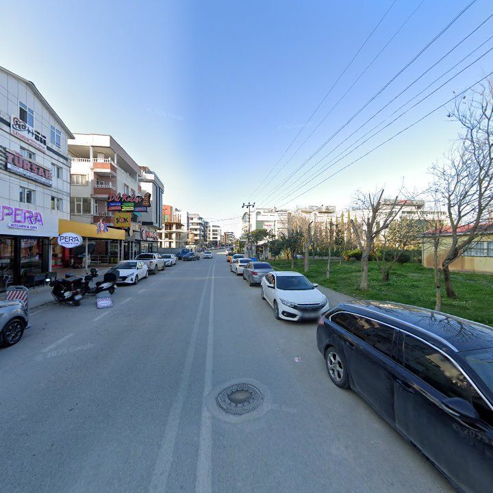Fotoğraf 11