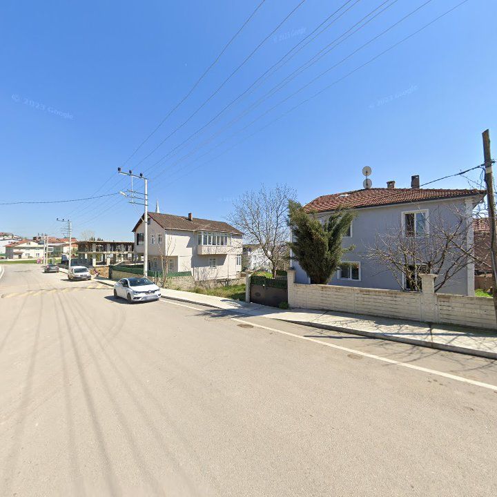 Fotoğraf 6