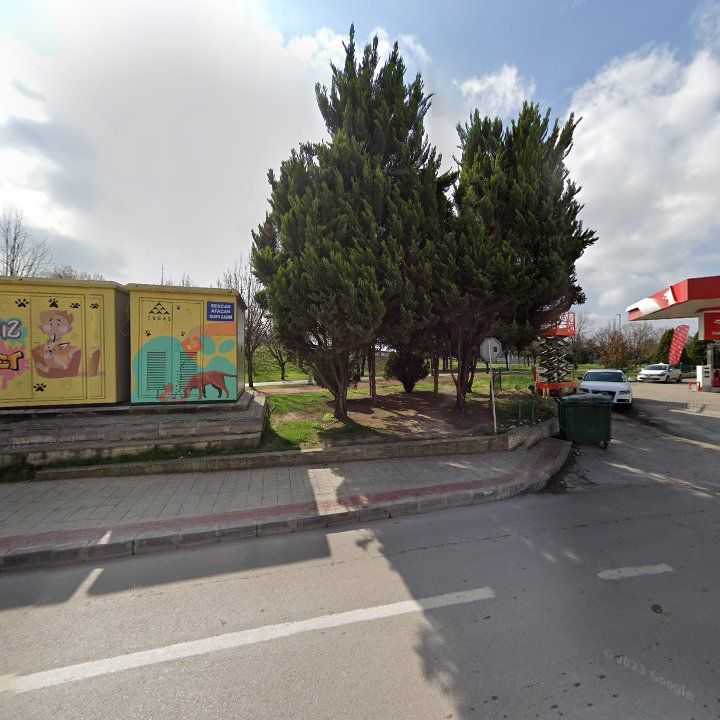 Fotoğraf 8