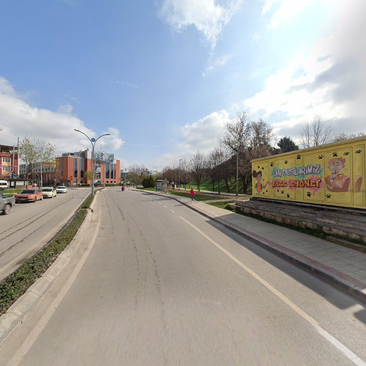 Fotoğraf 7