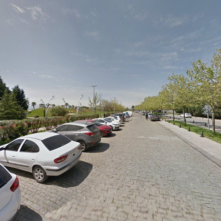 Fotoğraf 11