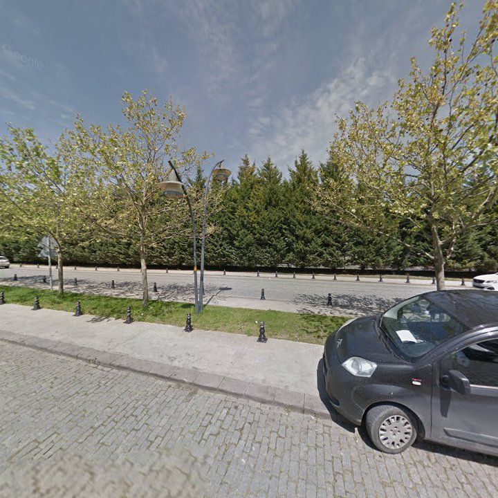 Fotoğraf 12