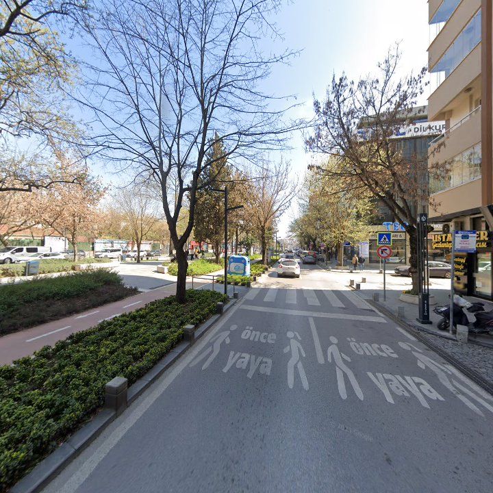 Fotoğraf 11