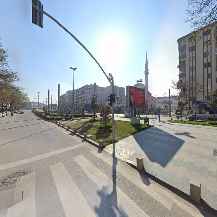 Fotoğraf 10