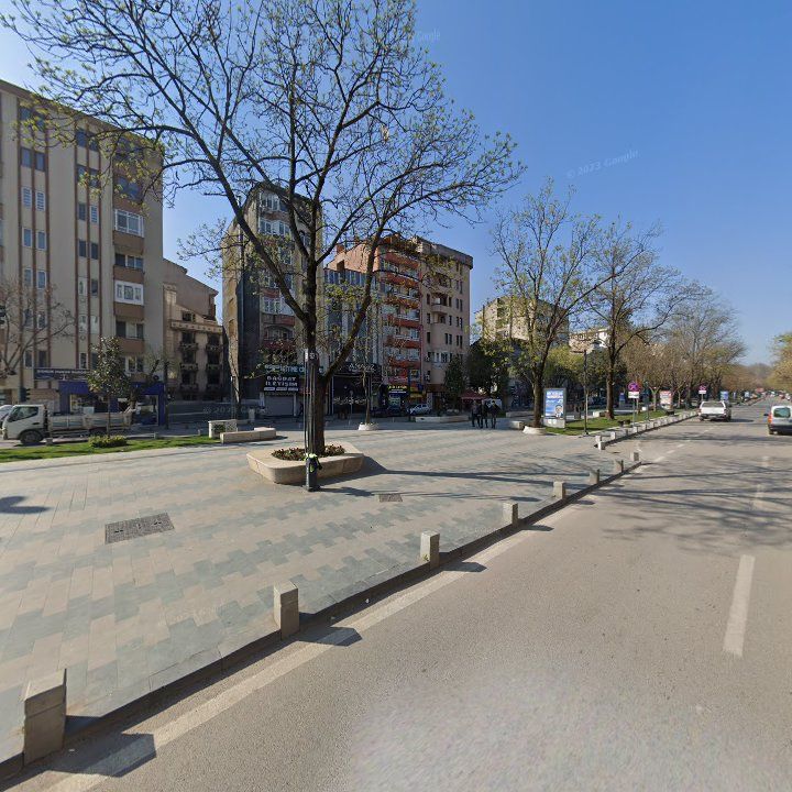 Fotoğraf 11