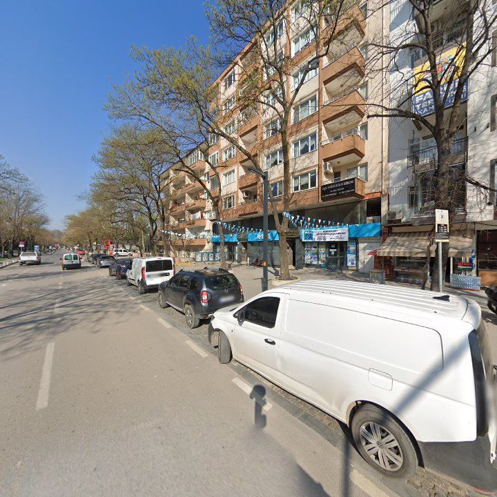 Fotoğraf 12