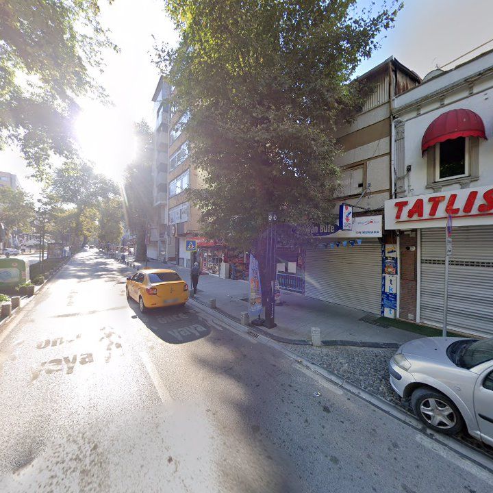 Fotoğraf 14