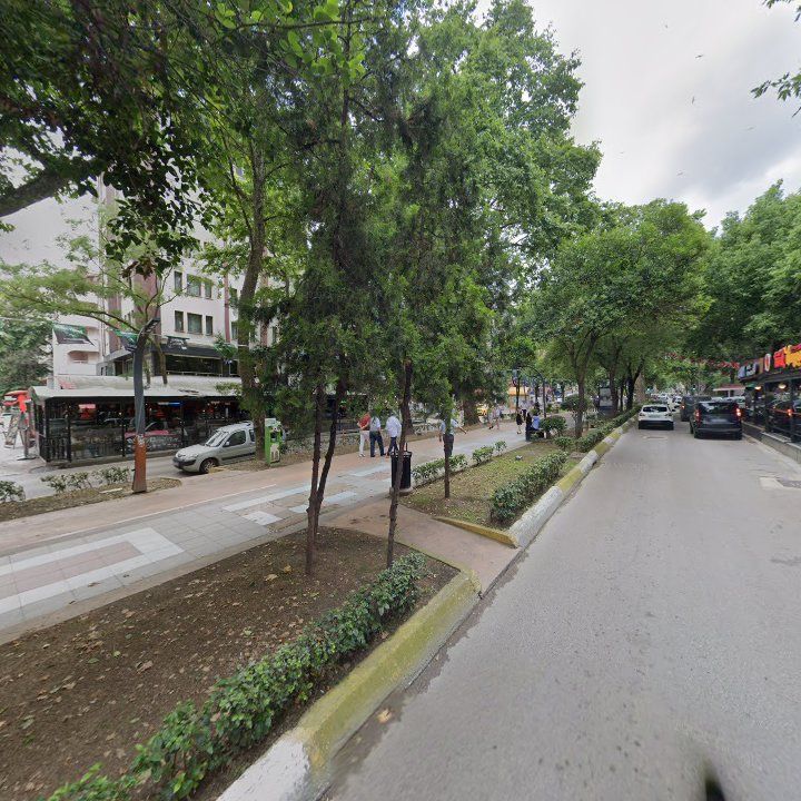 Fotoğraf 15