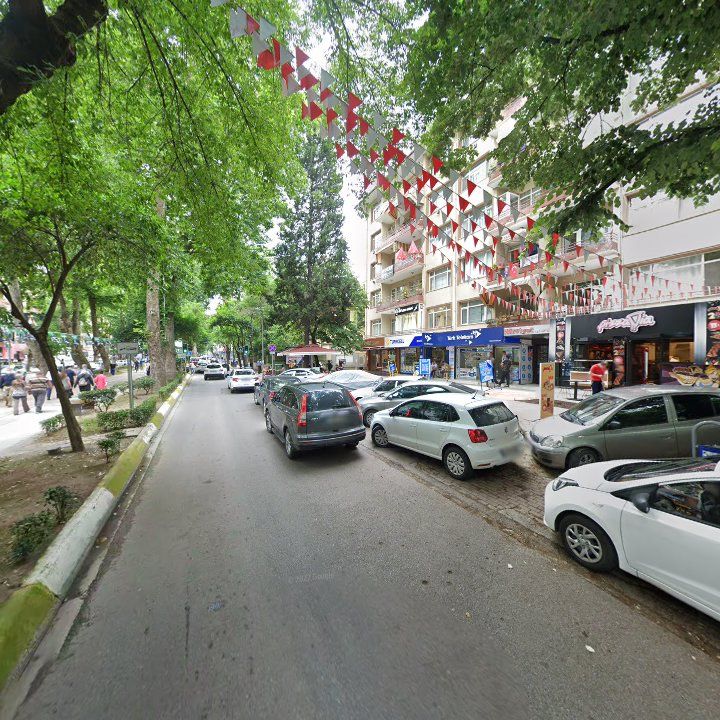 Fotoğraf 13