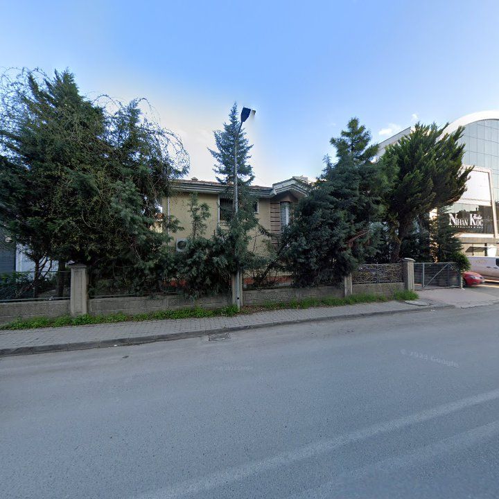 Fotoğraf 13