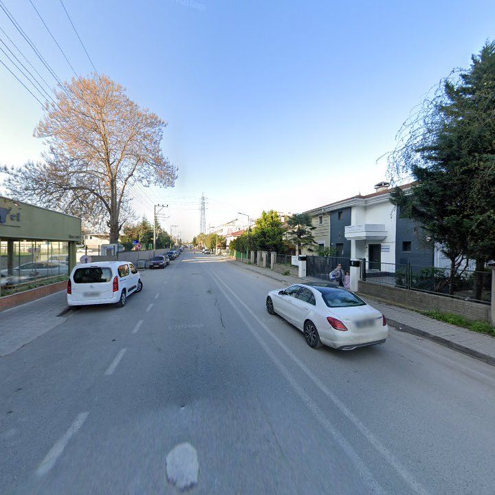 Fotoğraf 12