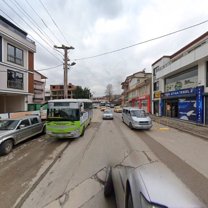 Fotoğraf 10
