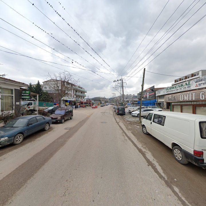 Fotoğraf 8