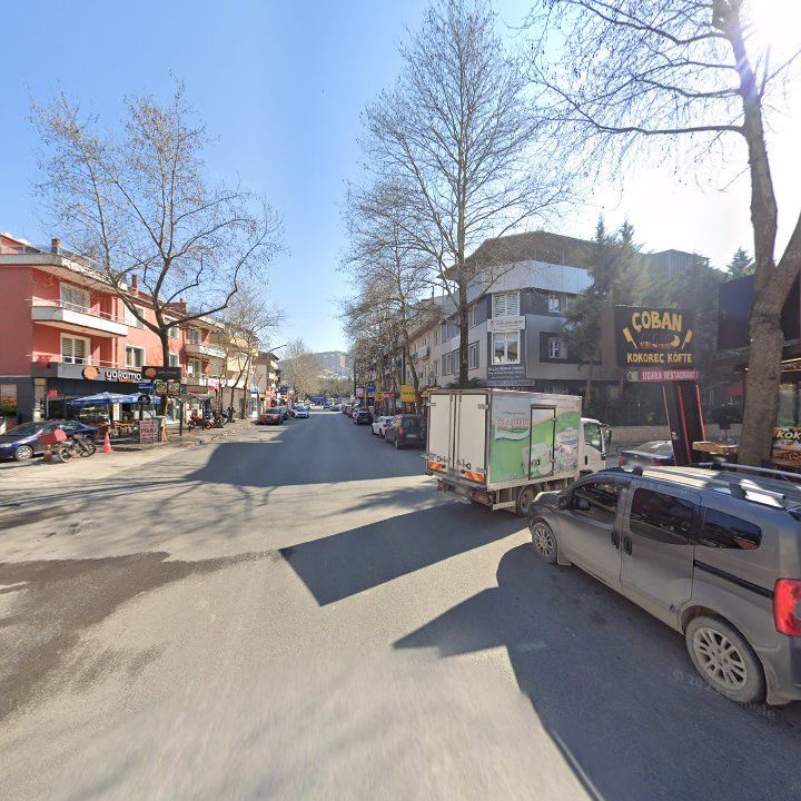 Fotoğraf 9