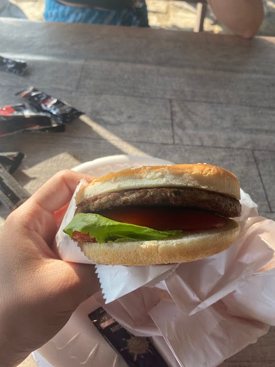 Fotoğraf 36