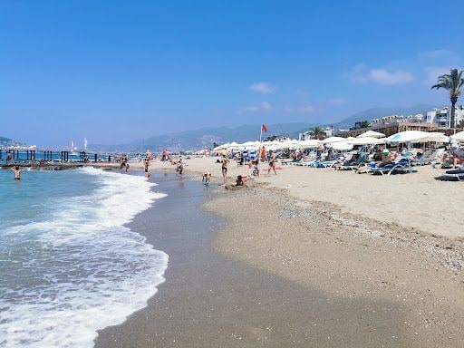 Yorum fotoğrafı 4