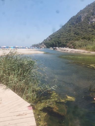 Yorum fotoğrafı 8