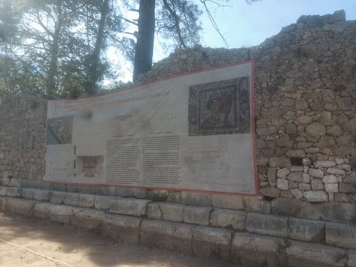 Yorum fotoğrafı 9