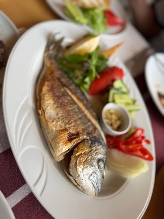 Fotoğraf 29