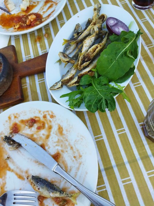 Fotoğraf 42