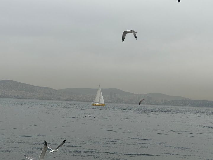 Fotoğraf 64