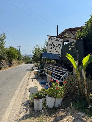 Yorum fotoğrafı 1