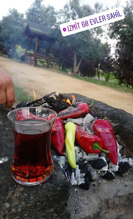 Fotoğraf 29