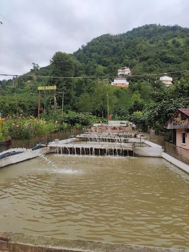 Fotoğraf 21