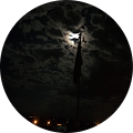 K-K Alacalı
