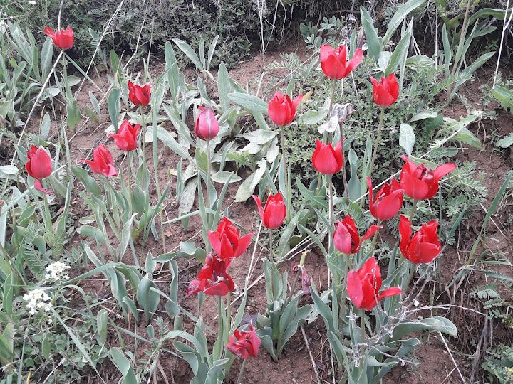 Yorum fotoğrafı 4