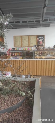 Fotoğraf 13