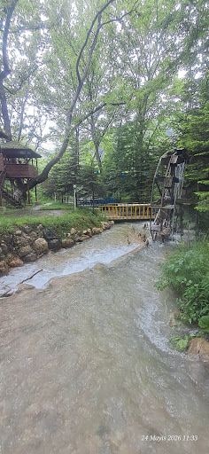 Yorum fotoğrafı 4