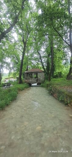 Yorum fotoğrafı 5