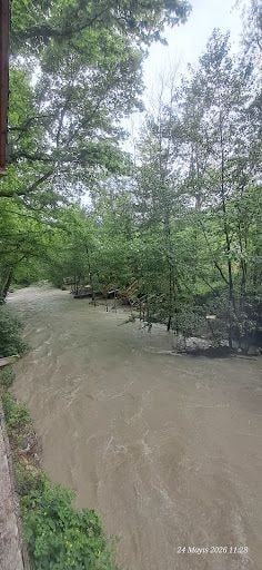 Yorum fotoğrafı 6