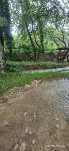 Yorum fotoğrafı 7