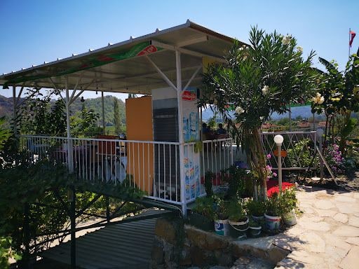 Yorum fotoğrafı 4