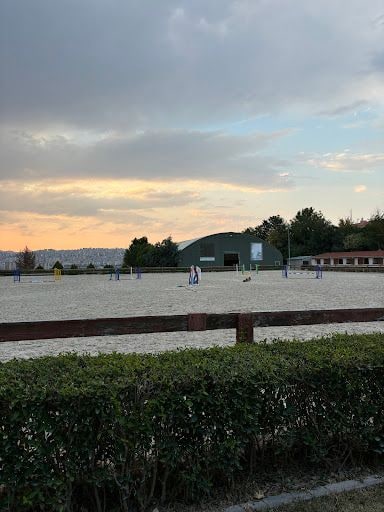 Yorum fotoğrafı 5