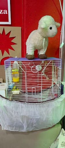 Yorum fotoğrafı 5