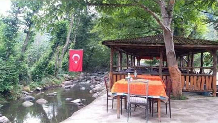 Alankent Şifa Suyu Et Balık Lokanta