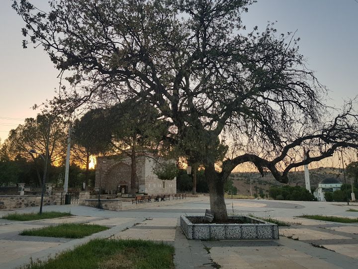 Yorum fotoğrafı 3