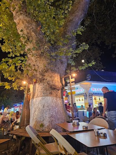 Yorum fotoğrafı 2